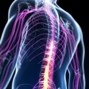 Best Neuro Doctor near me ecil hyderabad